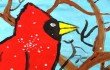 cardinal cardinal