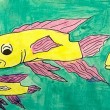 fish-DCG fish-DCG
