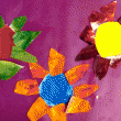 Colorwheel flowers Colorwheel flowers