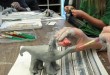 dino