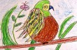parrotdcg parrotdcg