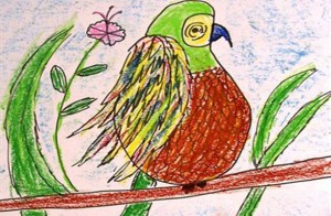 parrotdcg