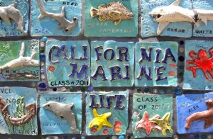 Close up ceramic mural
