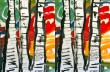 birch tree double cover birch tree