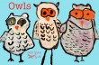 Kinder-owl-project Kinder-owl-project