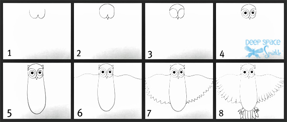 How-to-Draw-an-owl-2