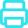 Print Icon