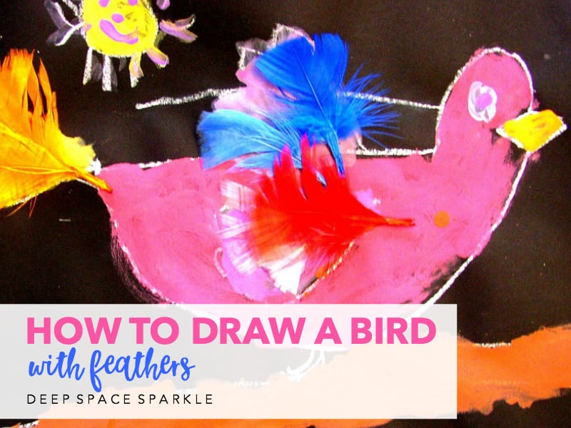 How To Draw A Bird with Feathers