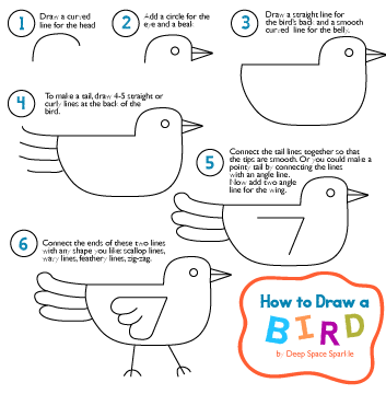 How to Draw Birds: 8 Techniques and Tips