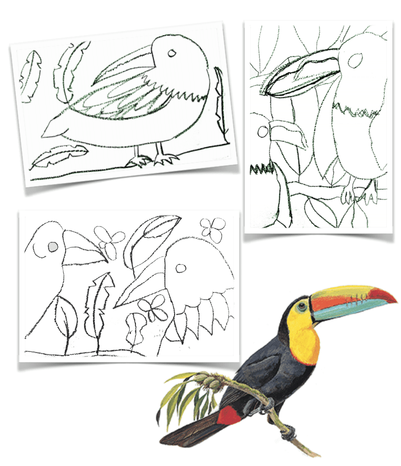 How to Draw A Toucan Art Project