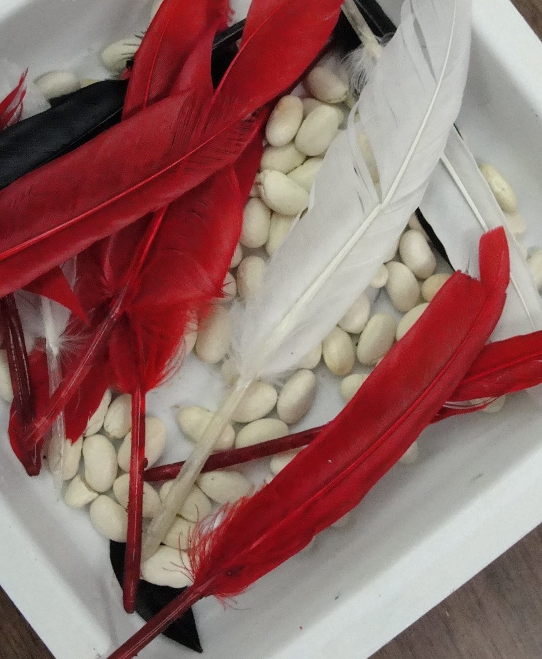 Beans and feathers for the tribal masks