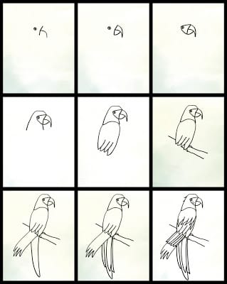 Technique Bird Drawing Art Set, Digital Lessons, Level 2