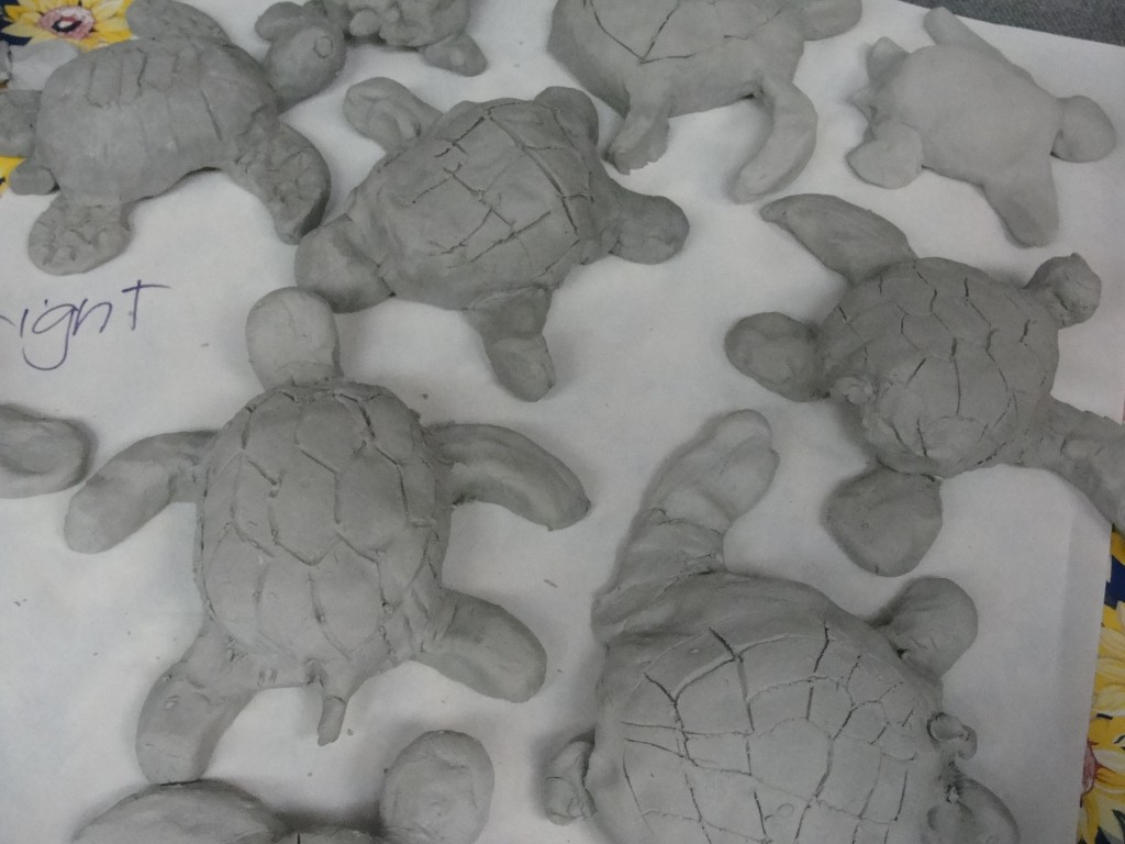 Clay turtles