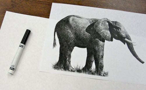 Ink Elephant Art Lesson