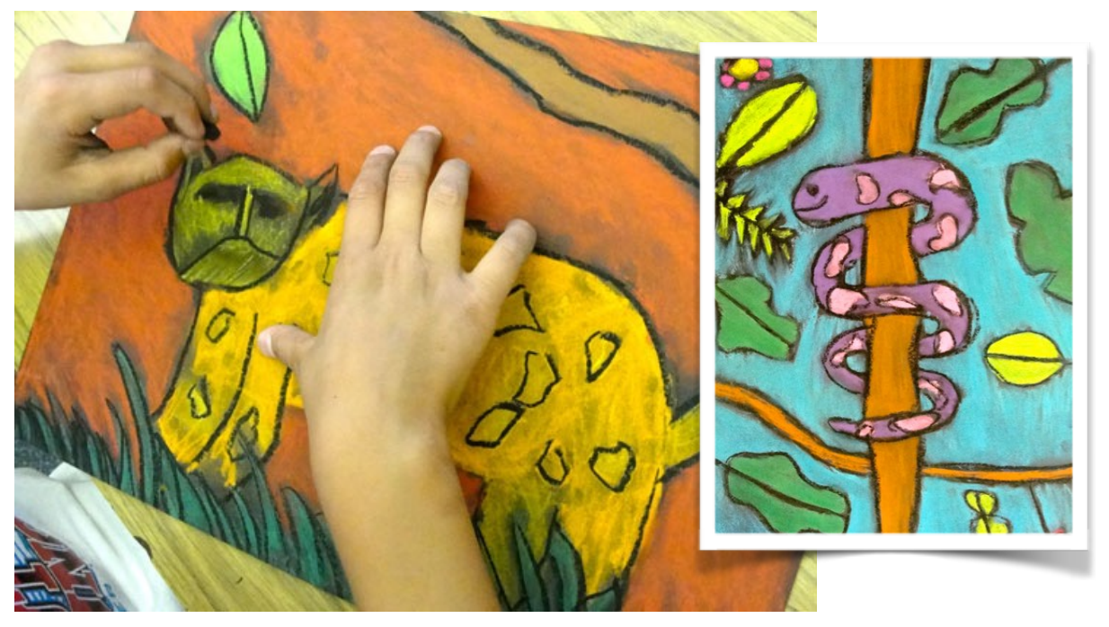 Rainforest Habitat Facts And Photos