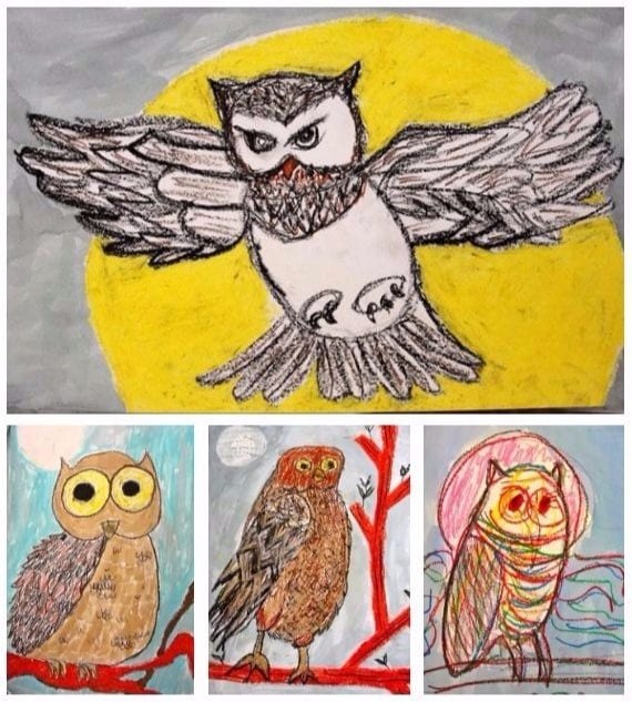 Oil Pastel Owl Gallery