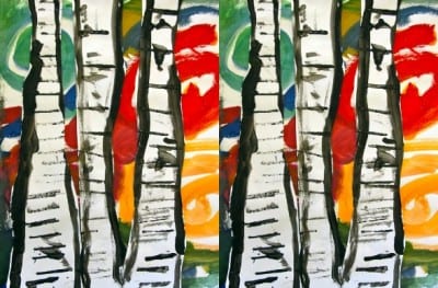 birch tree