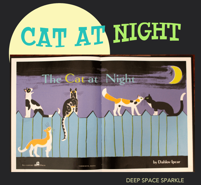 Cat-at-Night-picture-book