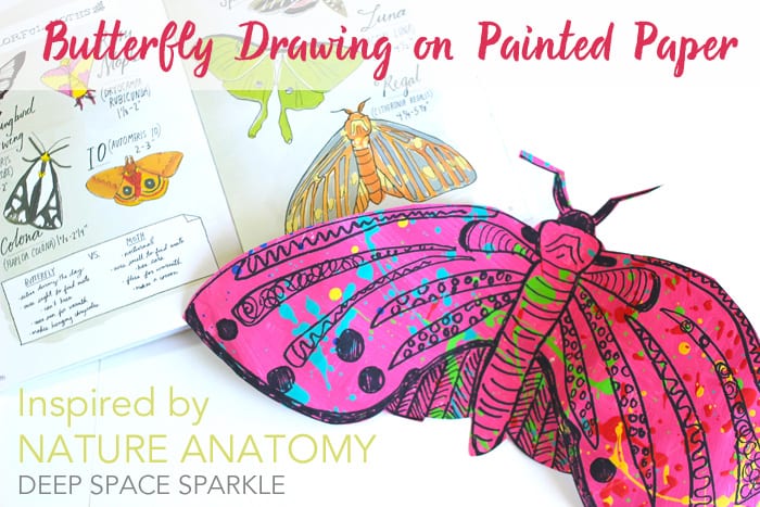 Butterfly drawing project inspired by Julia Rothman's Nature Anatomy