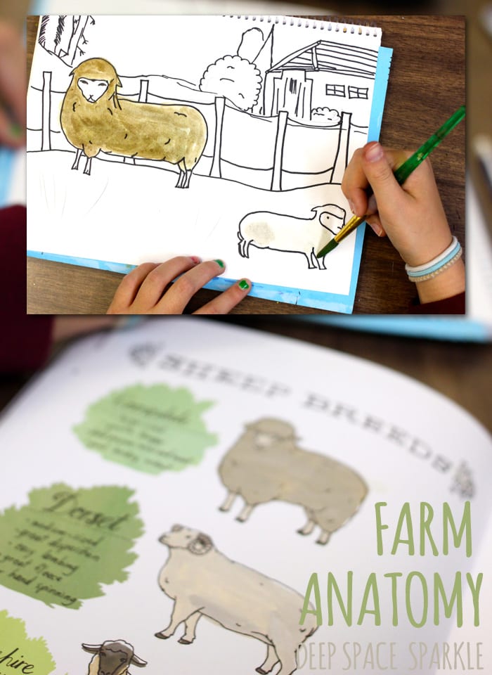 Farm Anatomy by Julia Rothmans. Art projects for kids inspired by the book