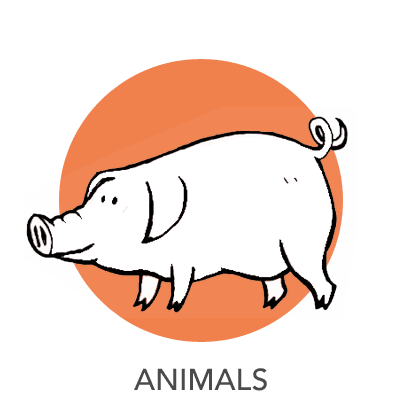 animal-drawing