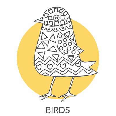 bird-projects-1