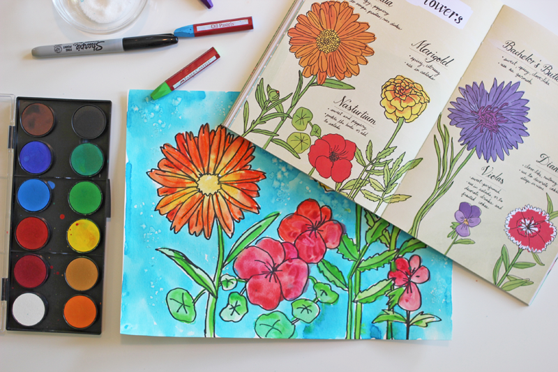 How to draw garden flowers art project video