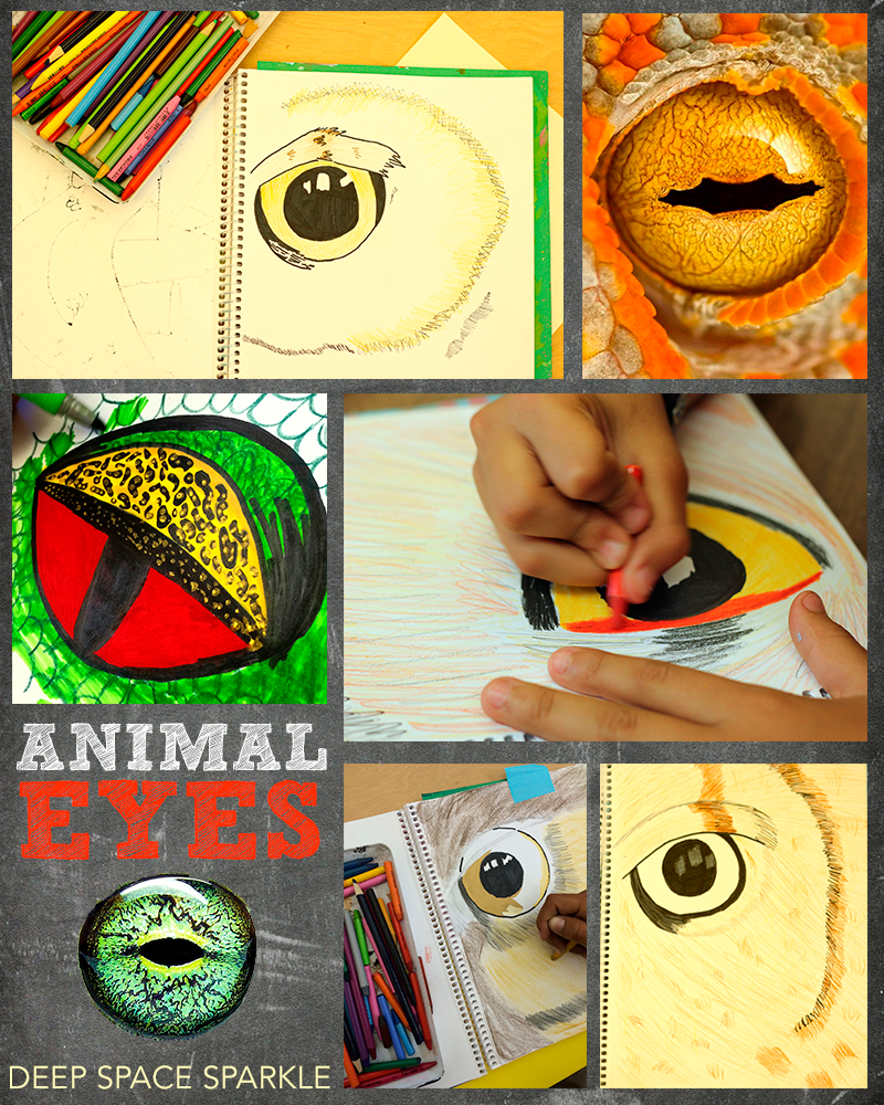 Close-up Animal eyes art project for kids | Deep Space Sparkle