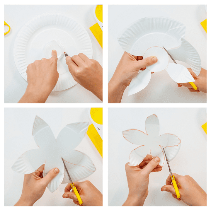 poinsettia cutting the flower